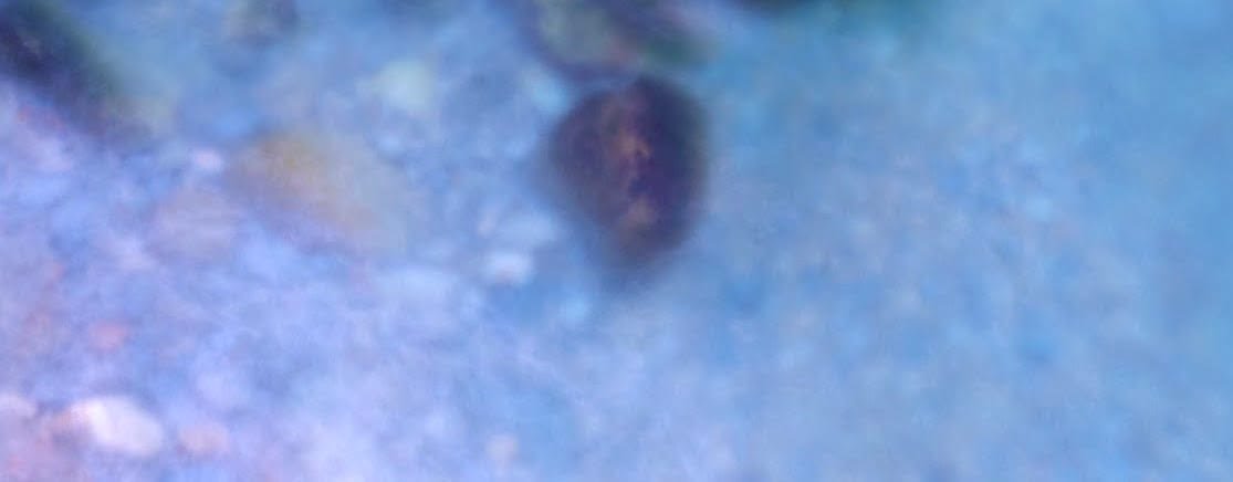 抛弃Cloudflare Page Rule，拥抱Workers–自定义CDN缓存策略