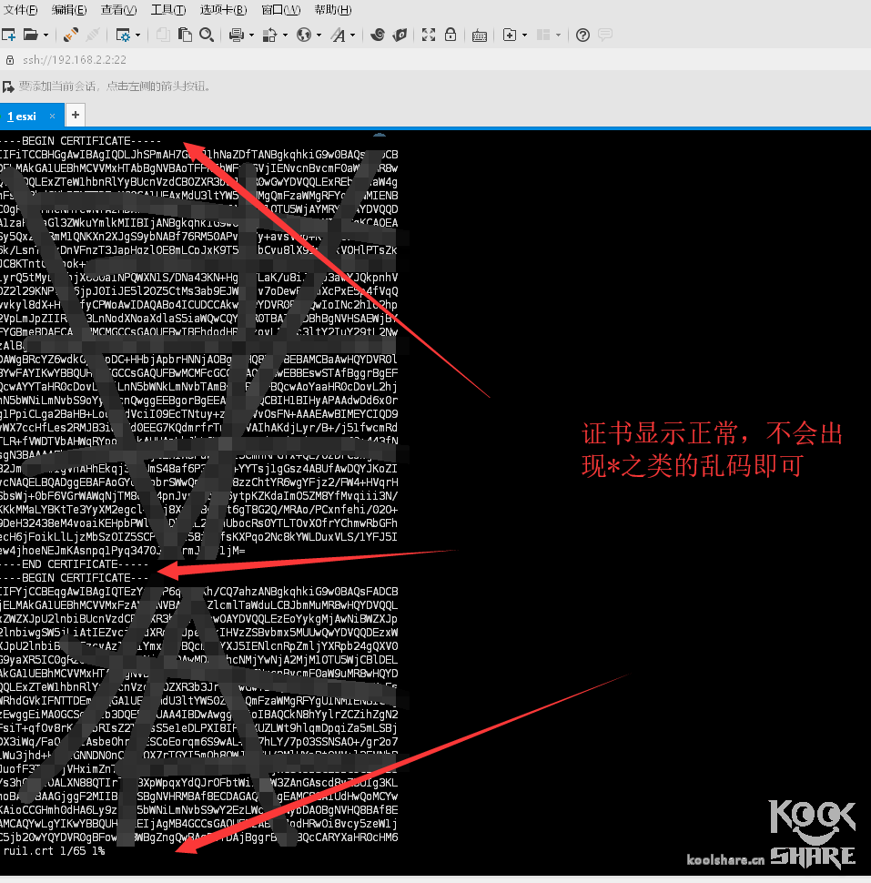 ESXI-6.5安装阿里云免费CA证书 其他 第22张