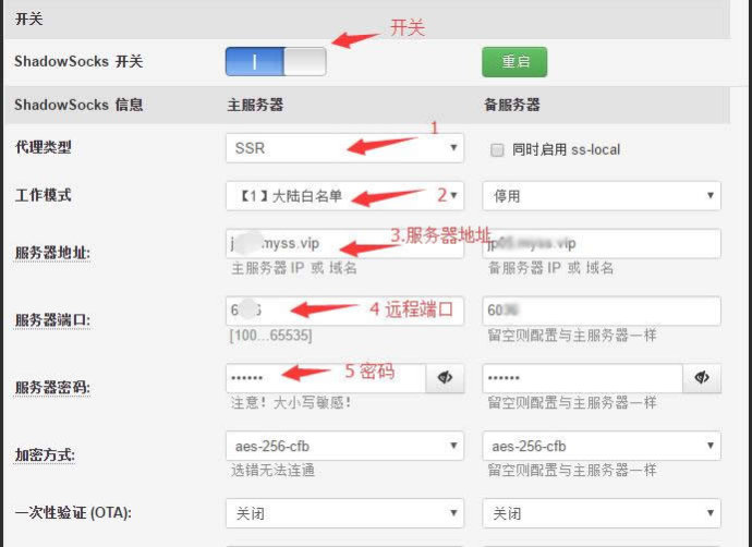 裴讯K2老毛子Padavan固件配置SSR简单教程 路由器 第4张