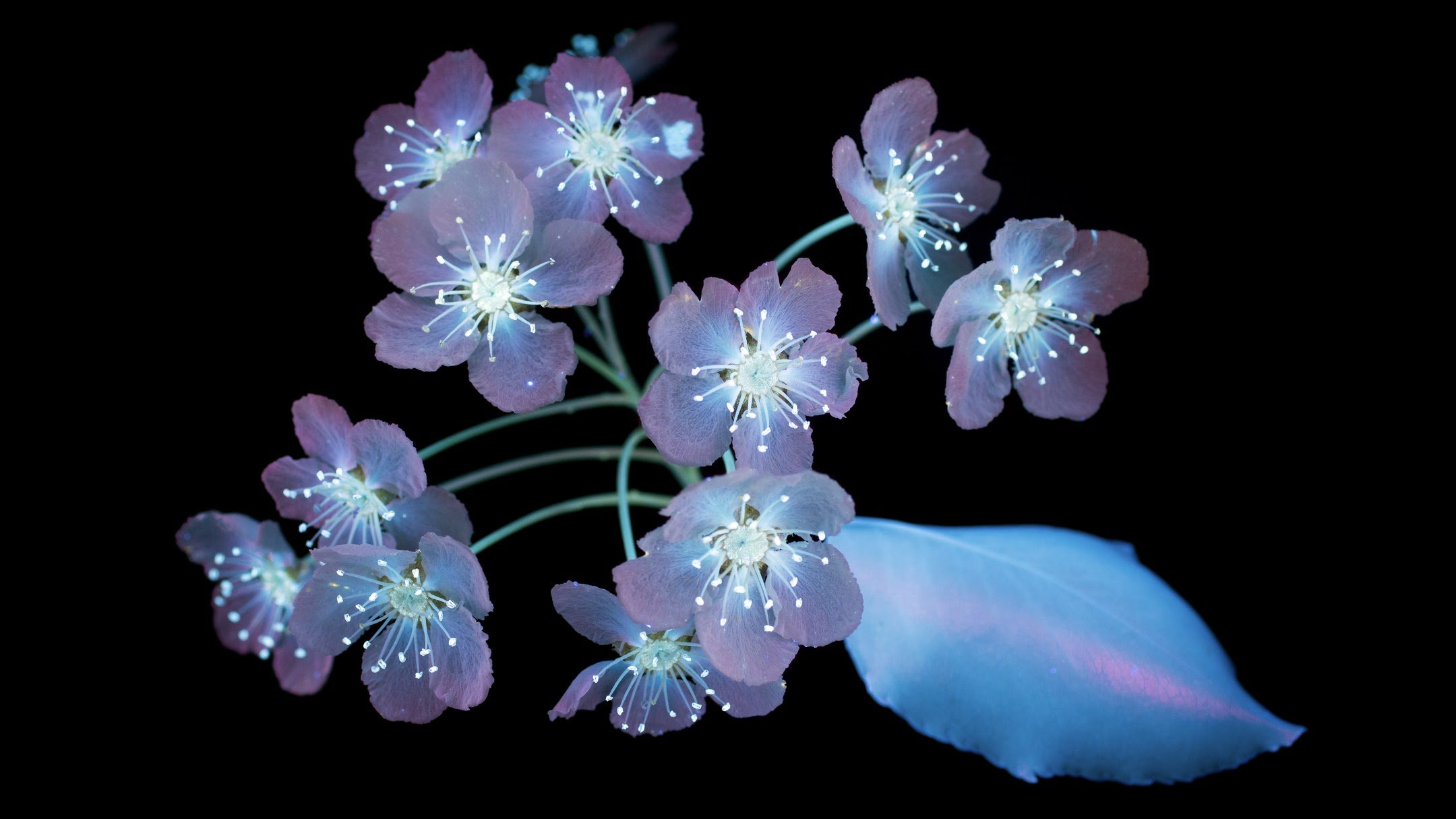 Sonarr修改其他工具下载的剧集信息