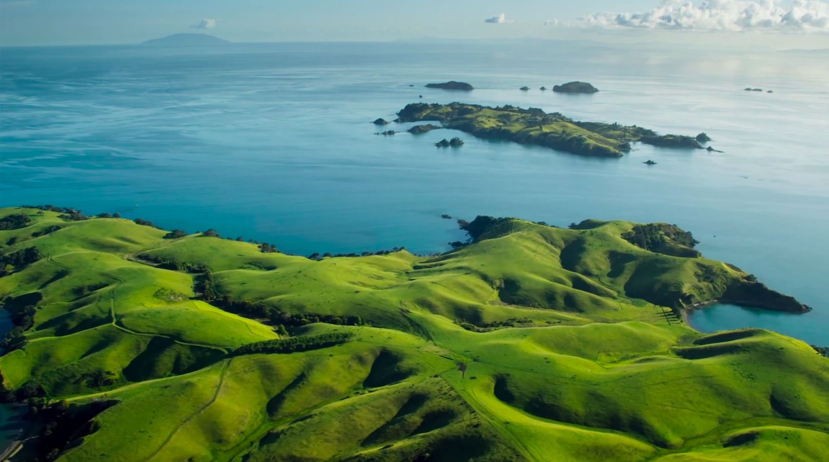 Docker ChineseSubFinder–中文字幕自动下载