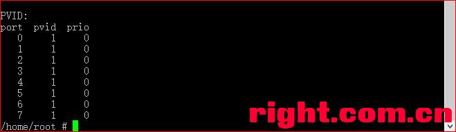 Padavan（老毛子） 最简单臂路由组网 VLAN 设置 路由器 第9张